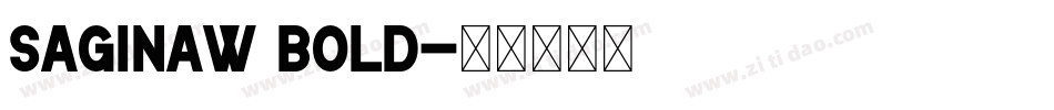 Saginaw Bold字体转换
